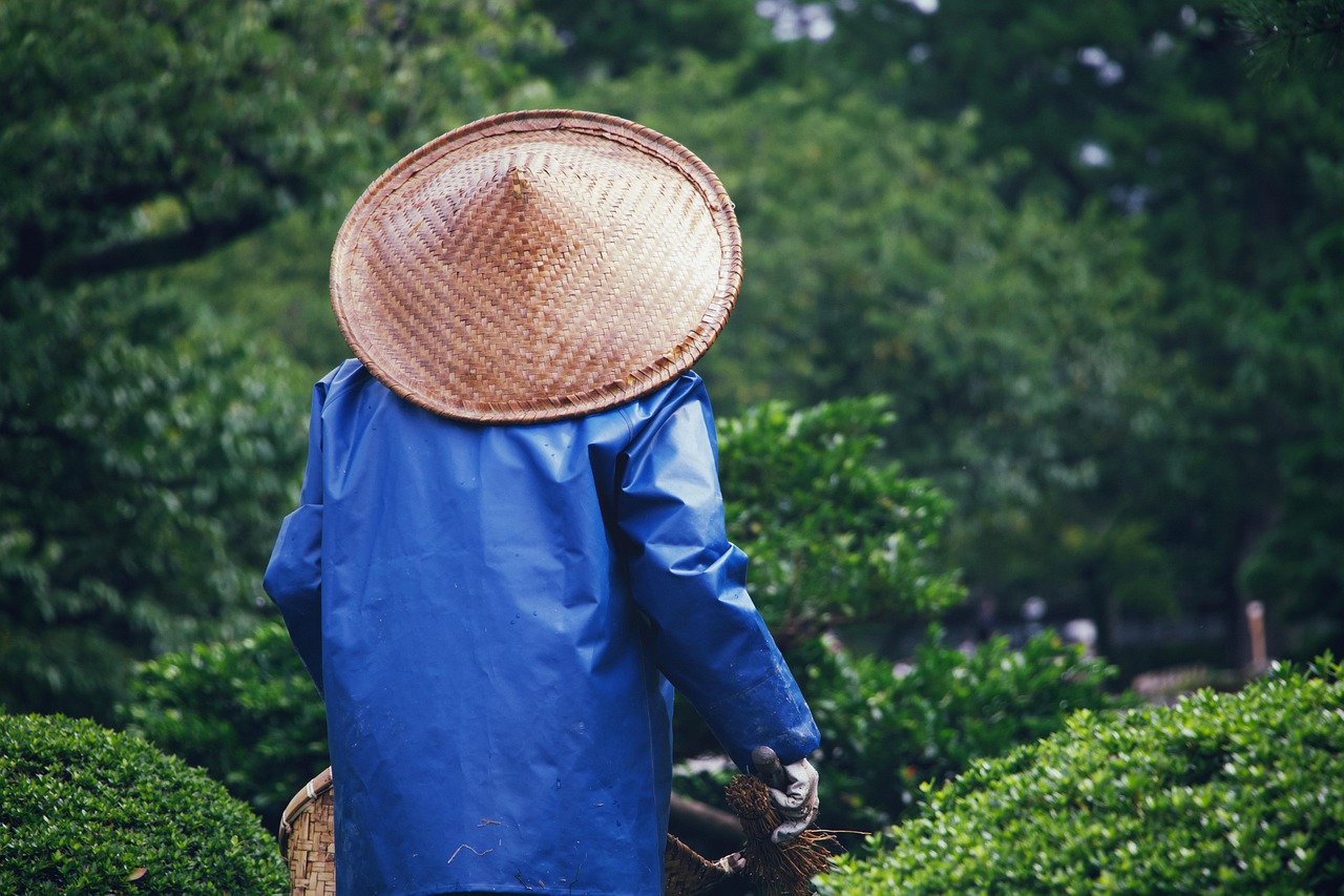 yard, nature, park, gardener, gardening, hat, asia, nature, gardening, gardening, gardening, gardening, gardening, hat, asia, asia